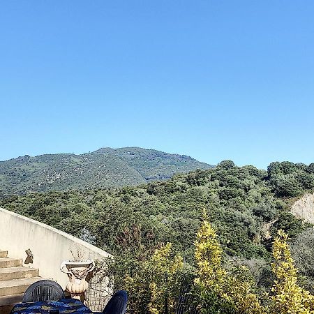 Grand Appartement Spacieux A 5 Min Du Centre Ville Αζάτσιο Εξωτερικό φωτογραφία